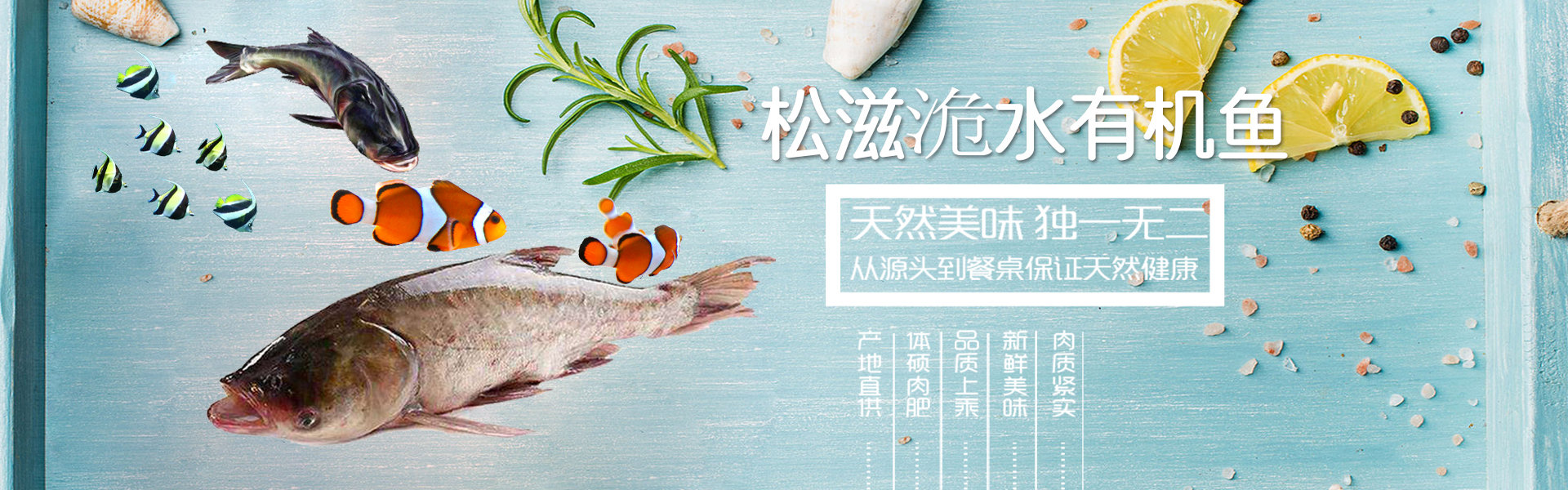 轮播
